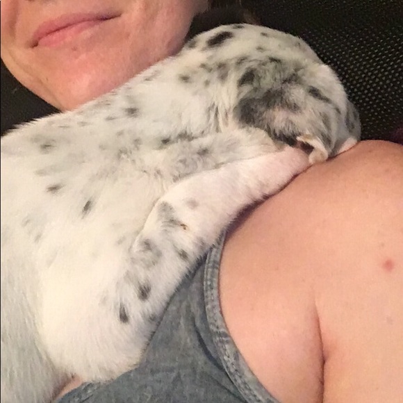 Meet your Posher, Ashley - Picture 3 of 3